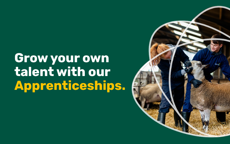 Cumbrian employers can grow their own talent through apprenticeships