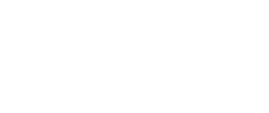 Wildman Street Gallery Logo